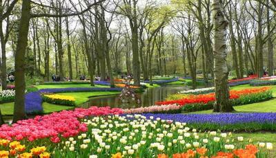 Luksemburg, Belgia, Holandia - Parada Kwiatów w Holandii