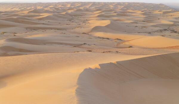  Arabia Saudyjska, Kuwejt, Oman - Trzy oblicza Półwyspu Arabskiego